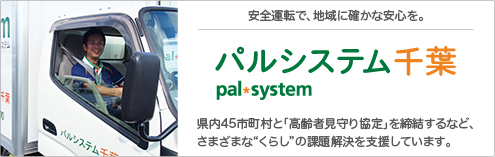 banner_palsystem